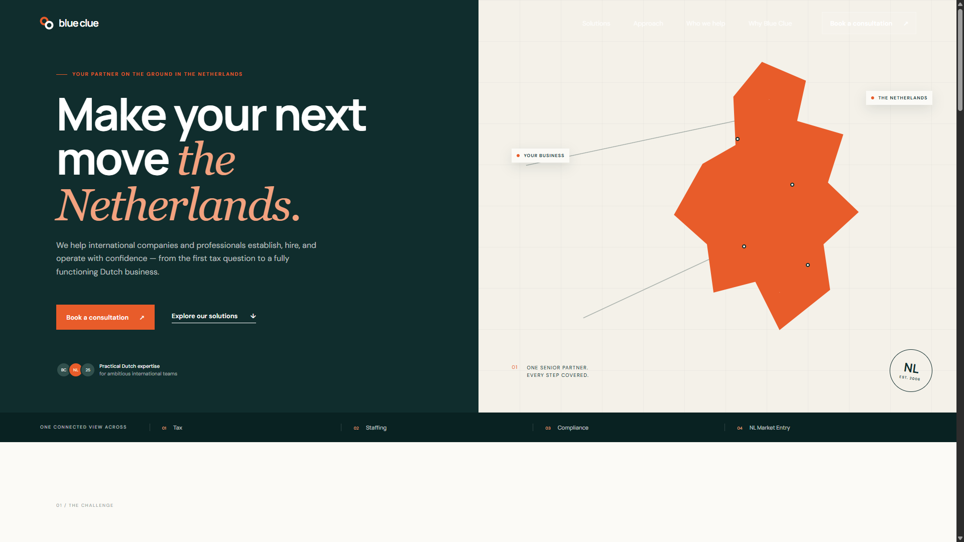 BlueClue website redesign